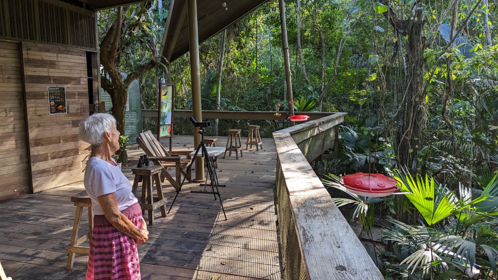 Highlights of Soberania National Park & Rainforest Discovery Center