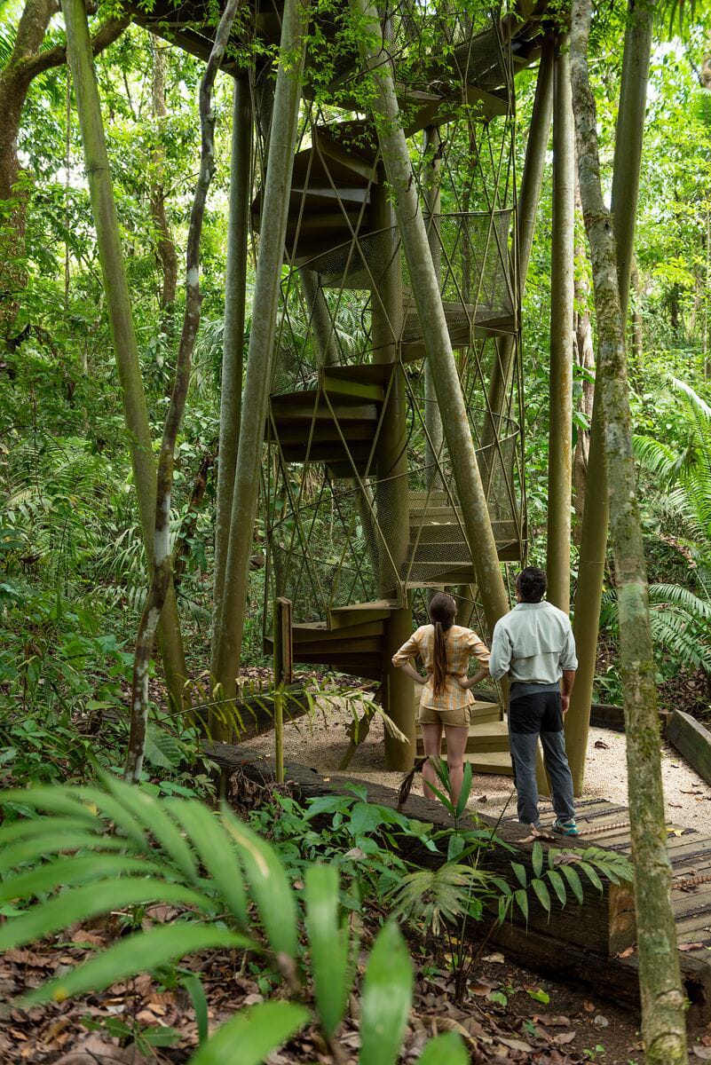 Highlights of Soberania National Park & Rainforest Discovery Center