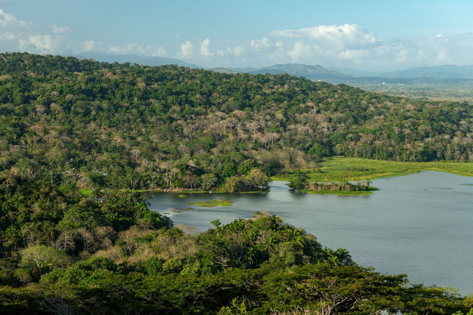 Highlights of Soberania National Park & Rainforest Discovery Center