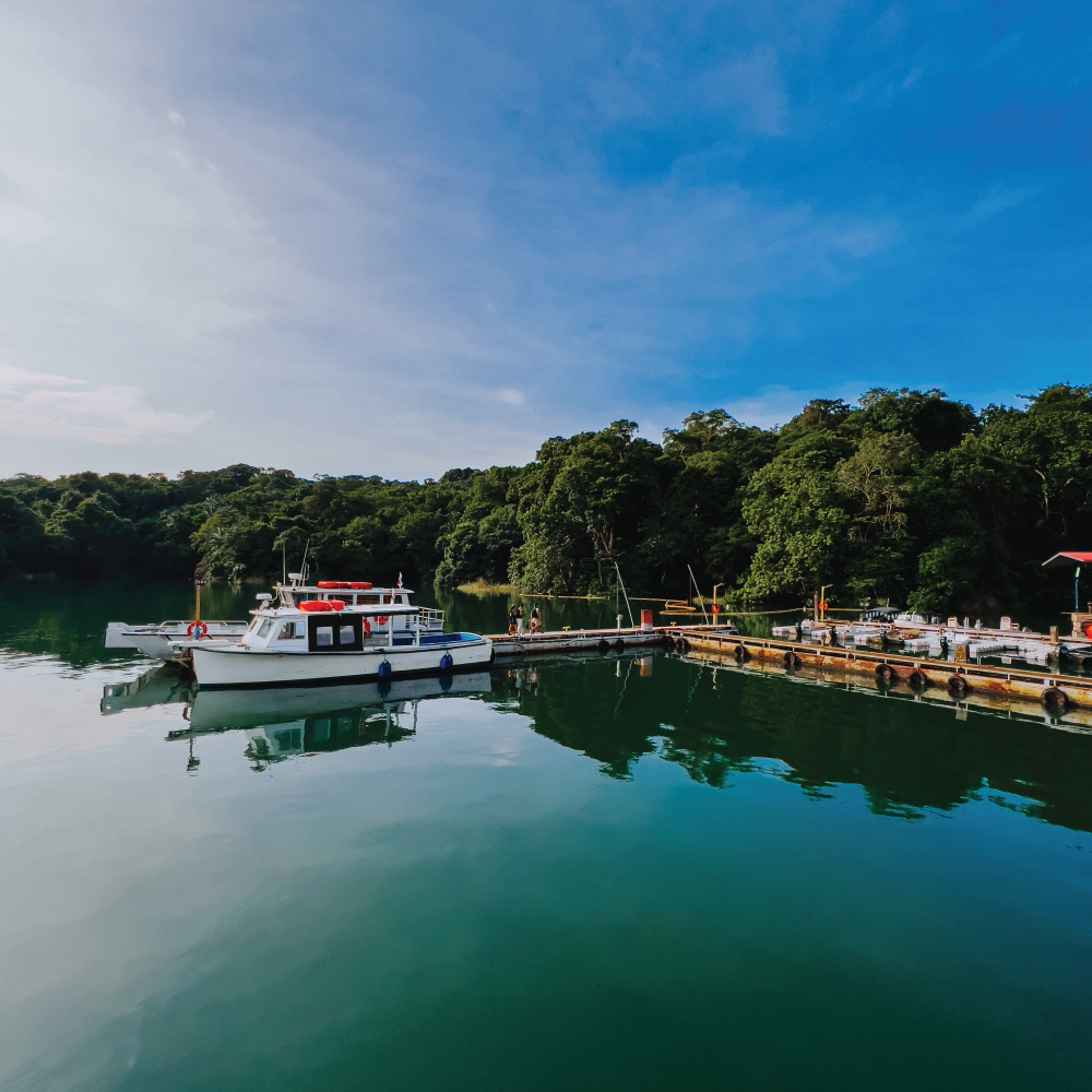 Smithsonian Barro Colorado Island