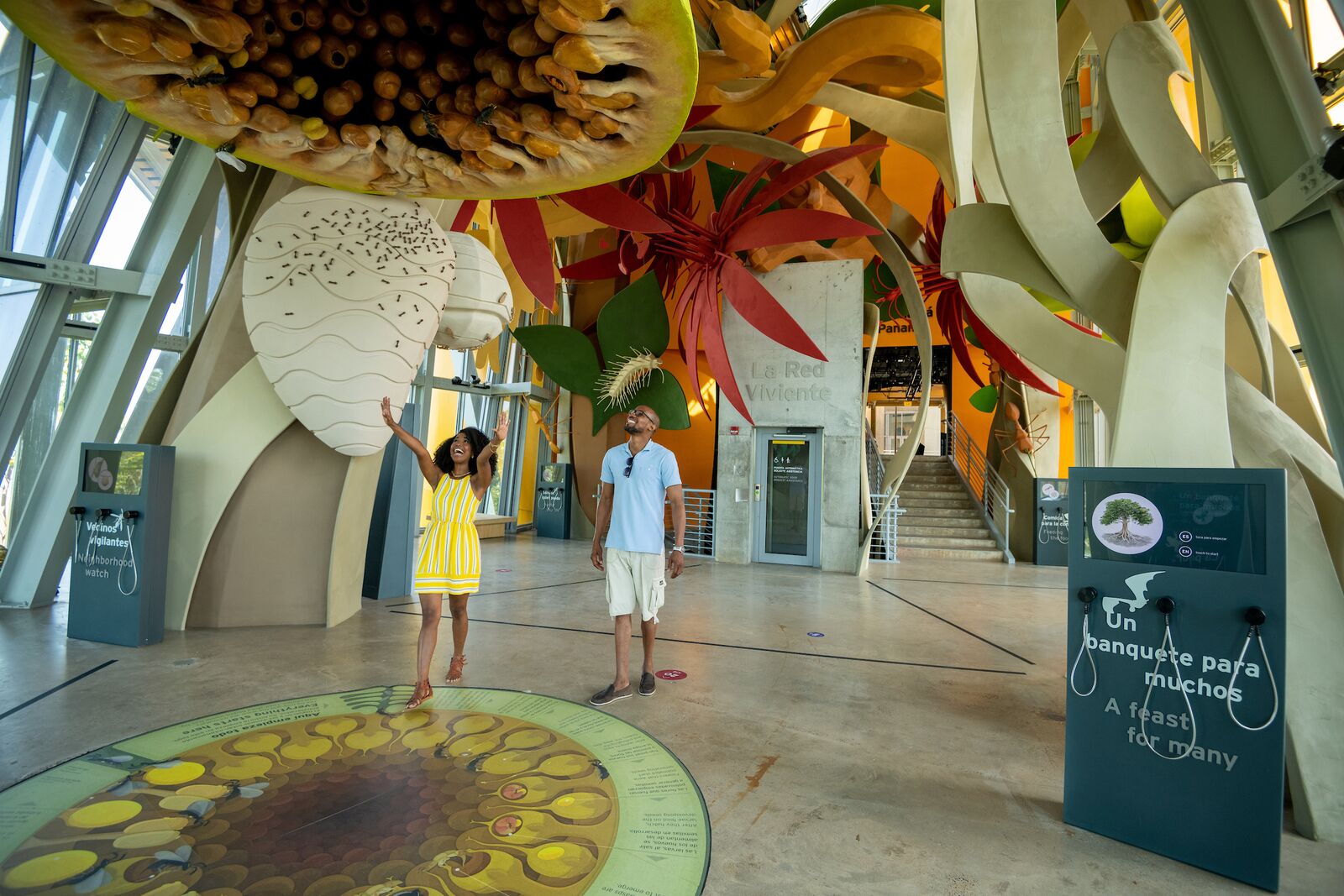 Full Day Panama City Tour (Shore Excursion)