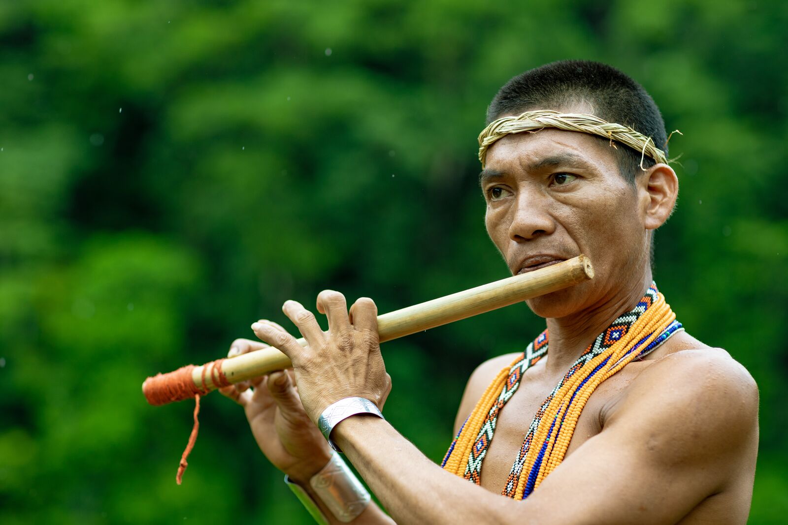 The Panama Canal & the Embera People (Shore Excursion)