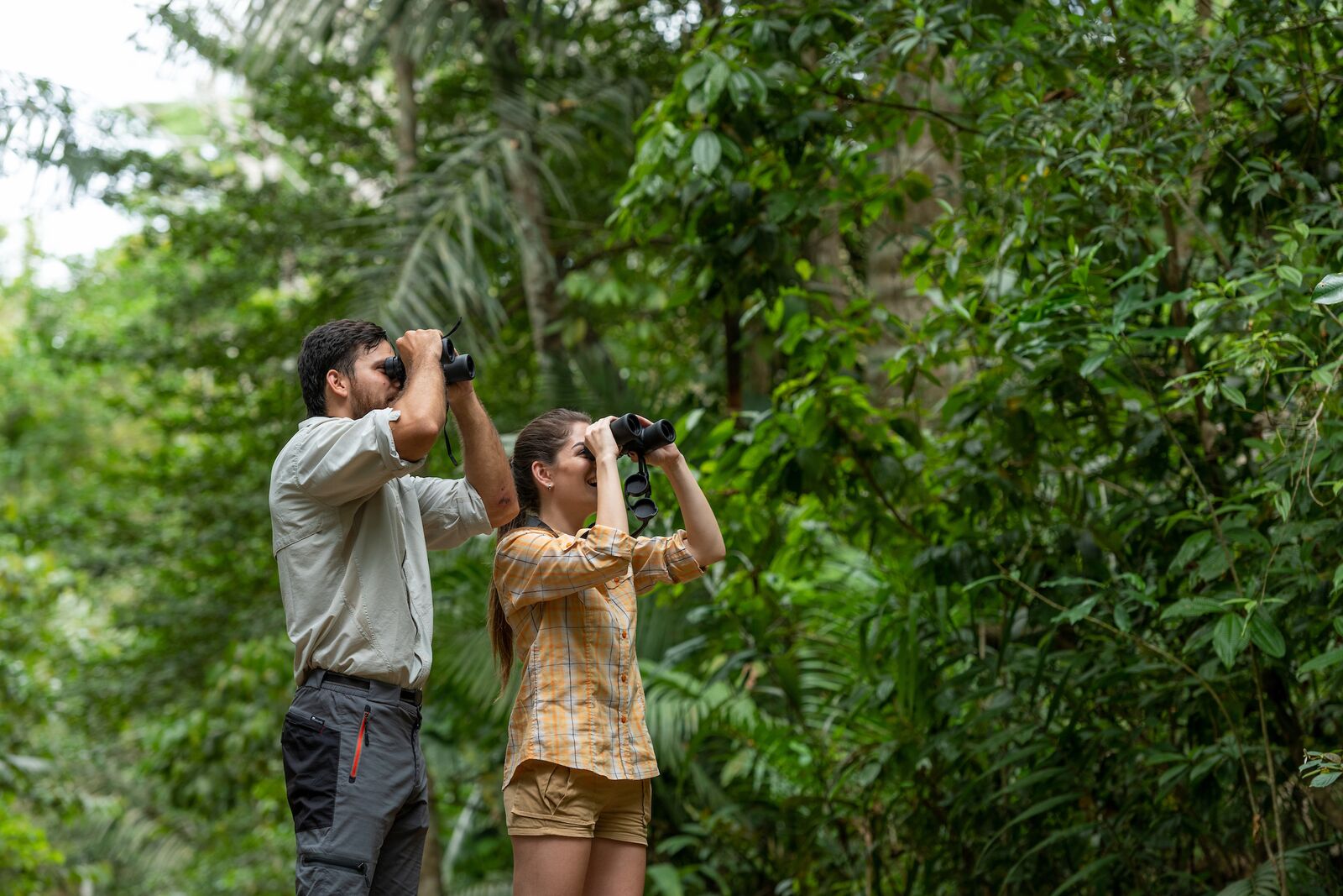 Highlights of Soberania National Park & Rainforest Discovery Center
