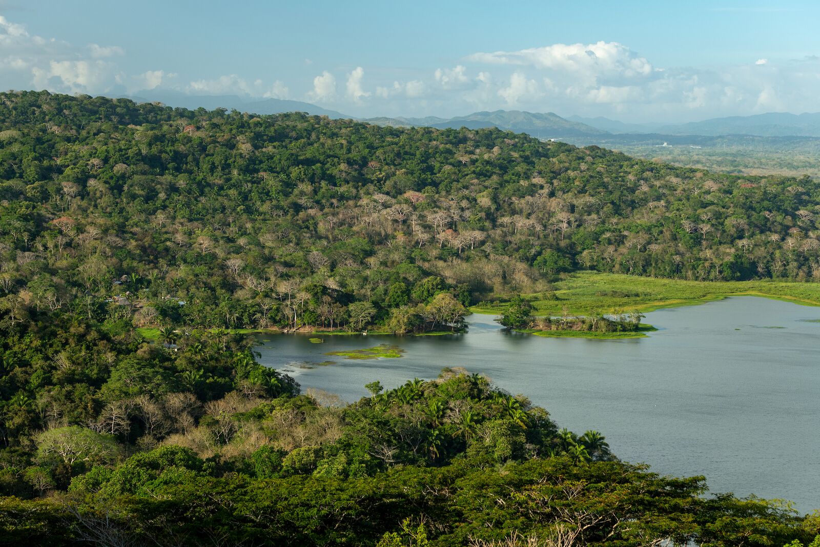 Pipeline Road Hike & Jungle Boat Expedition