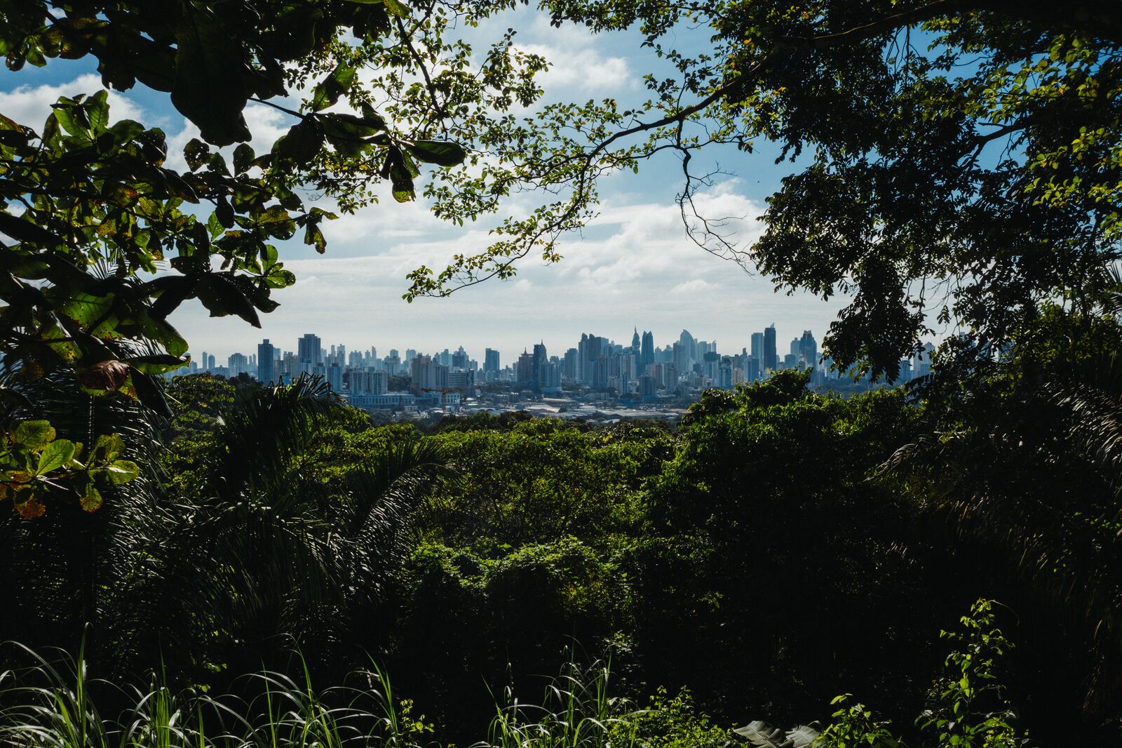 Metropolitan Natural Park