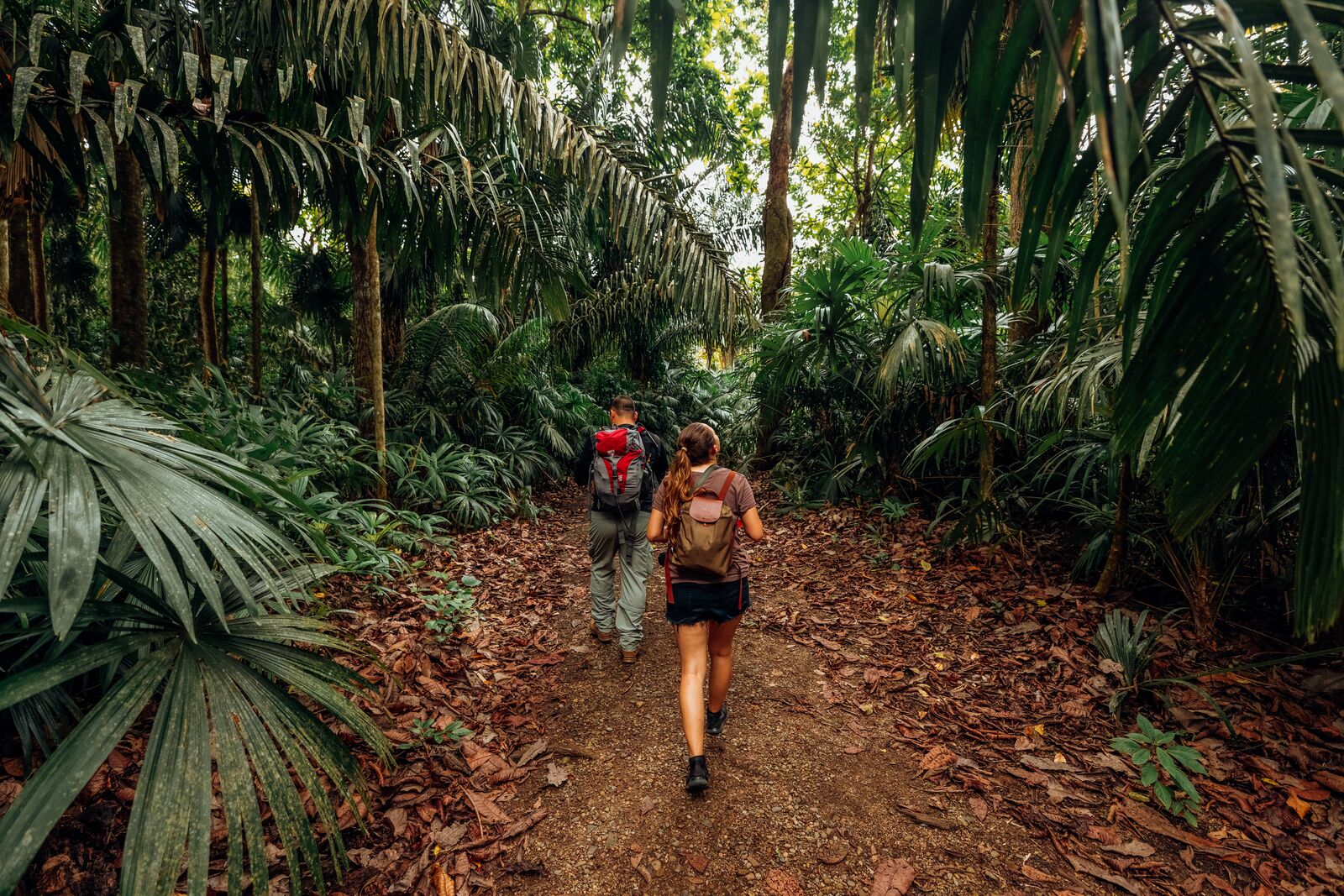 Pipeline Road Hike & Jungle Boat Expedition